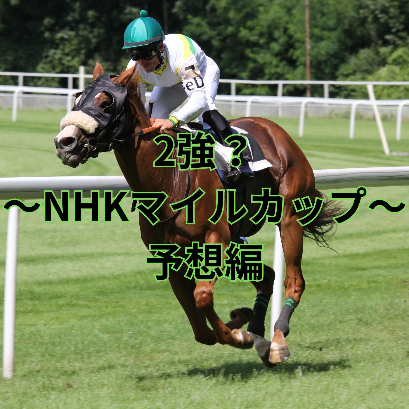 NHKマイル